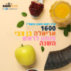 פזמון לראש השנה – עם אריאלה בן צבי
