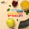 רוק בצהריים לראש השנה – עם מוטי הייפרמן