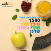 שירי השנה שלנו – עם מיכל אבן