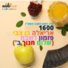 פזמון לשבת מס’ 237 – 11.9.2026 – שלום חנוך בן 80 – חלק ב’